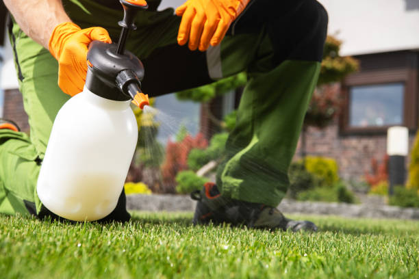 Best Exterminator Services  in Delta, OH