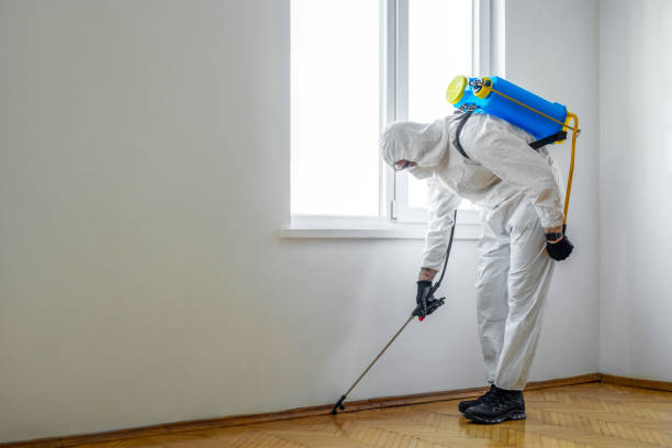Best Rat Extermination Near Me  in Delta, OH