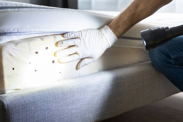Best Commercial Pest Control Services  in Delta, OH