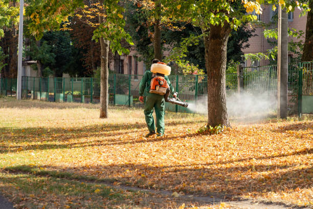Best Insect Control  in Delta, OH