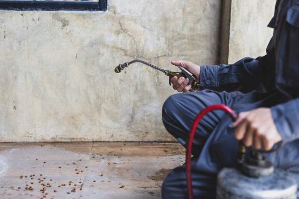 Best Termite Control Services  in Delta, OH